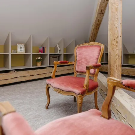 Attic Апартаменты Тимишоара