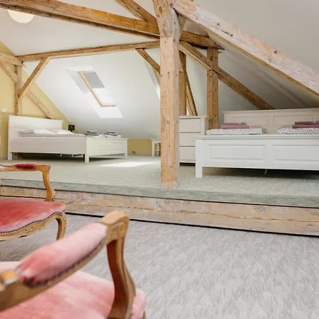 Attic Тимишоара