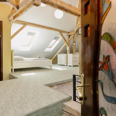 Attic Апартаменты Тимишоара